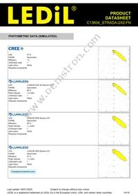 C13604_STRADA-2X2-FN Datasheet Page 14