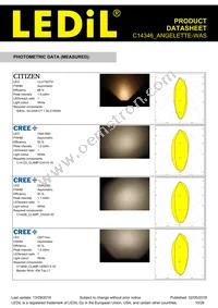 C14346_ANGELETTE-WAS Datasheet Page 10