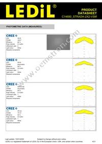 C14680_STRADA-2X2-VSM Datasheet Page 4