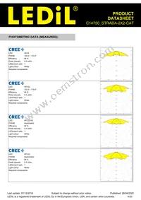 C14750_STRADA-2X2-CAT Datasheet Page 4