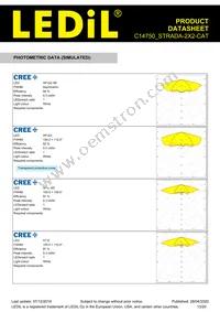C14750_STRADA-2X2-CAT Datasheet Page 13