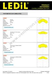 C14750_STRADA-2X2-CAT Datasheet Page 17