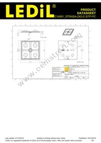 C14991_STRADA-2X2-C-STP-PC Datasheet Page 2