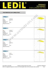 C15014_STRADA-2X2-T4-B Datasheet Page 12