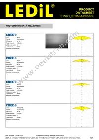 C15021_STRADA-2X2-SCL Datasheet Page 4