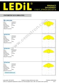 C15217_STRADA-2X2-CAT-B Datasheet Page 9