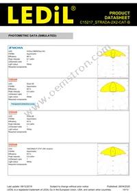 C15217_STRADA-2X2-CAT-B Datasheet Page 10