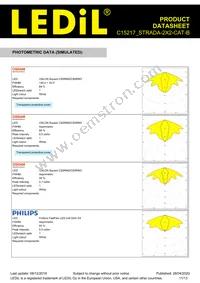 C15217_STRADA-2X2-CAT-B Datasheet Page 11