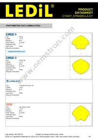 C15437_STRADELLA-CY Datasheet Page 4