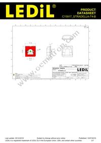 C15917_STRADELLA-T4-B Datasheet Page 2