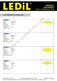 C15917_STRADELLA-T4-B Datasheet Page 4