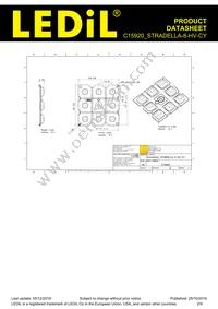 C15920_STRADELLA-8-HV-CY Datasheet Page 2