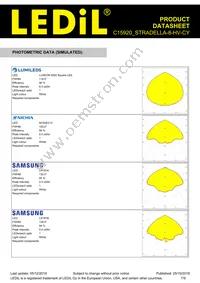 C15920_STRADELLA-8-HV-CY Datasheet Page 7