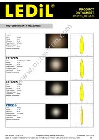 C16123_OLGA-S Datasheet Page 3