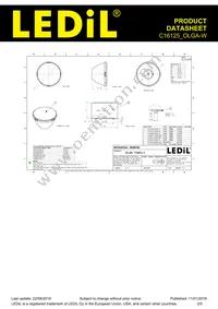 C16125_OLGA-W Datasheet Page 2