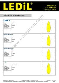 C16125_OLGA-W Datasheet Page 4