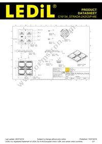 C16134_STRADA-2X2CSP-ME Datasheet Page 2