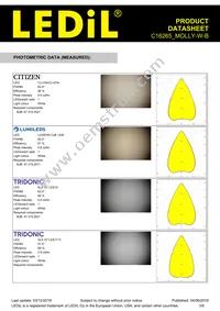 C16265_MOLLY-W-B Datasheet Page 3