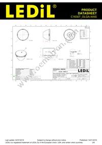 C16307_OLGA-WAS Datasheet Page 2