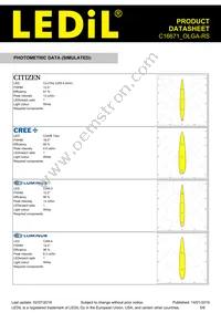 C16671_OLGA-RS Datasheet Page 5