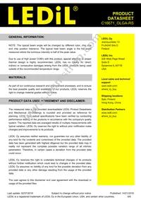 C16671_OLGA-RS Datasheet Page 6