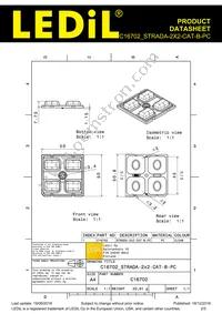 C16702_STRADA-2X2-CAT-B-PC Datasheet Page 2