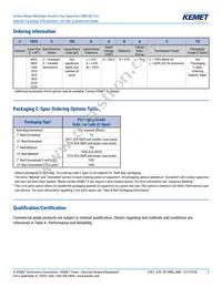 C1825C824JARACTU Datasheet Page 2