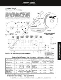 C192C102G2G5CA Datasheet Page 15