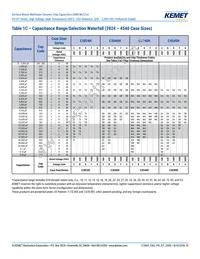 C2220H333JCGAFT050 Datasheet Page 10