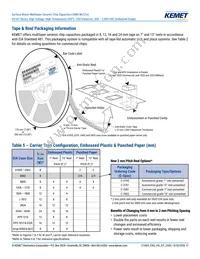 C2220H333JCGAFT050 Datasheet Page 17