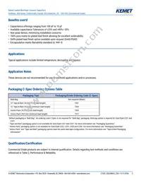 C315C153M1U5TA Datasheet Page 2