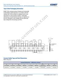 C317C100K2G5TA7301 Datasheet Page 17