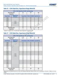 C317C229C1G5TA Datasheet Page 12