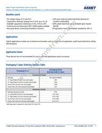 C320C105K5N5TA9170 Datasheet Page 2