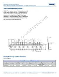 C323C824J1R5TA Datasheet Page 17