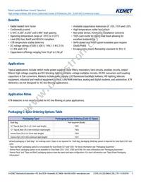 C330C124KCR5TA Datasheet Page 2