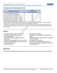 C3640H473KGGWCT050 Datasheet Page 2