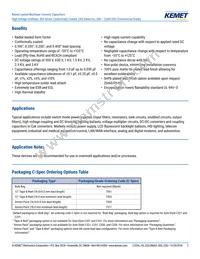 C410C159C5G5TA3810 Datasheet Page 2