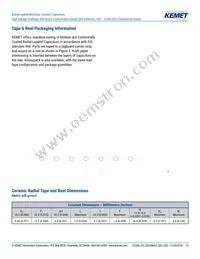 C410C159C5G5TA3810 Datasheet Page 19