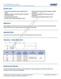 C420C822K2G5TA Datasheet Page 2