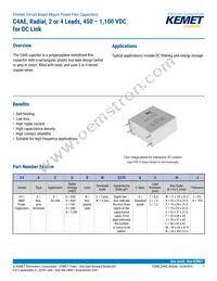 C4AEQBW5120A3LJ Datasheet Cover