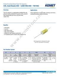 C4CAPUB3100AA0J Datasheet Cover