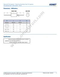 C4CAPUB3100AA0J Datasheet Page 2