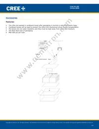 C543A-WMN-CCCKK141 Datasheet Page 13