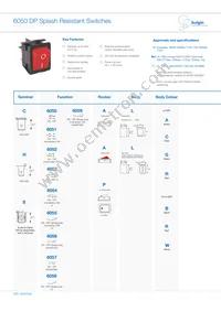 C6053ALBG31197W Datasheet Cover