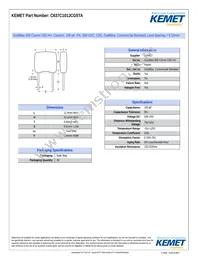 C637C101JCG5TA Datasheet Cover