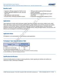 C640C102MHR5TA Datasheet Page 2