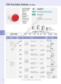 C7053AFNAB Datasheet Cover