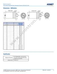 C870CG36100AA0J Datasheet Page 2