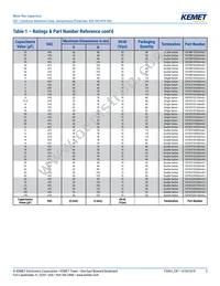 C870CG36100AA0J Datasheet Page 5